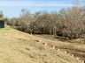 DSC09864